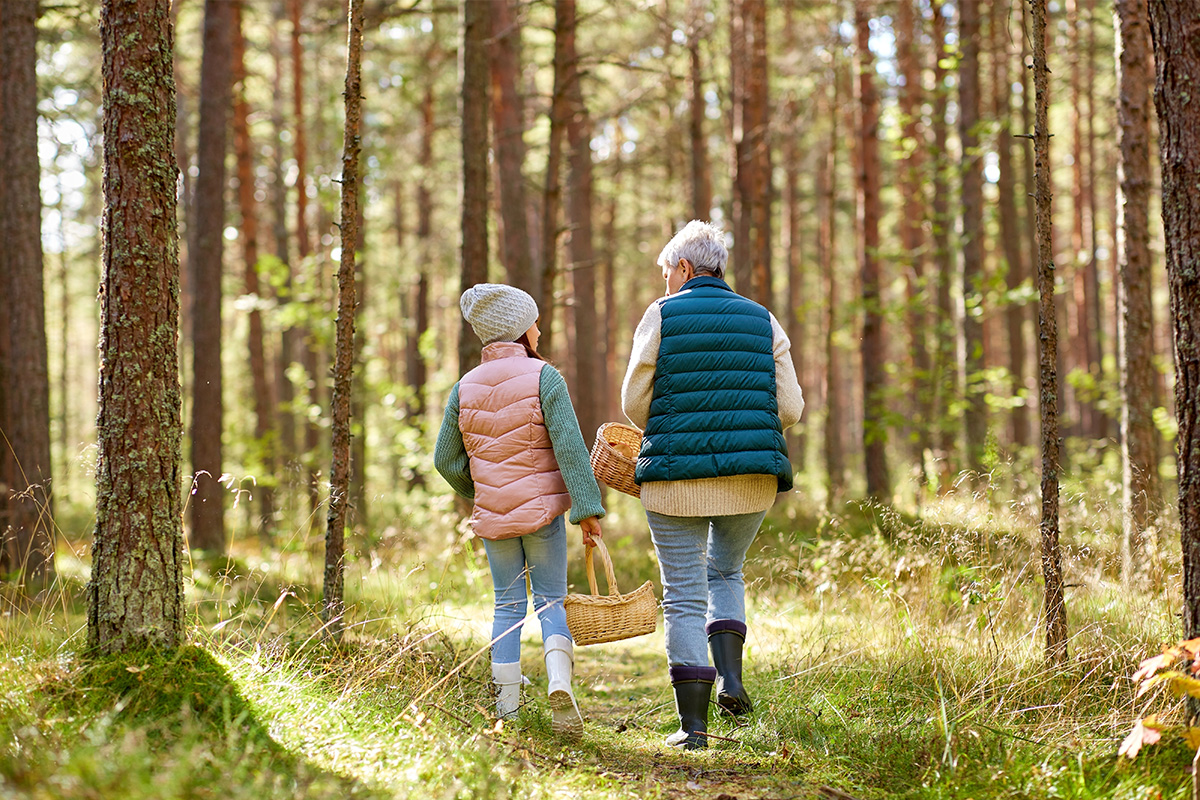 Willow Law – Practice Area – General Estate Planning